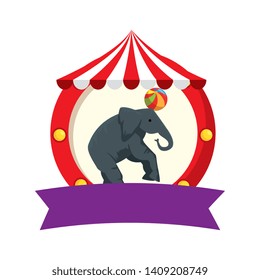 circus elephant playing with balloon in tent