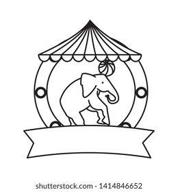 circus elephant playing with balloon in tent