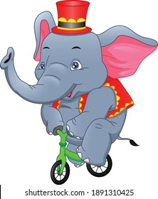 circus elephant riding a bicycle