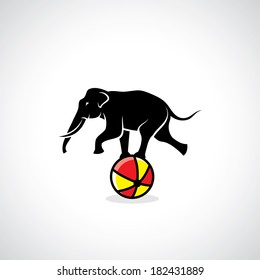 Circus Elephant - Vector Illustration