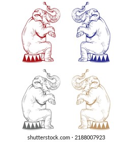 Circus Elephant Vector Illustration. Elephant Circus Entertainment
