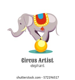 A circus elephant. Vector illustration. Isolated on a white background.