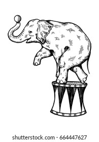 Circus Elephant Vector Illustration. Scratch Board Style Imitation. Hand Drawn Image.