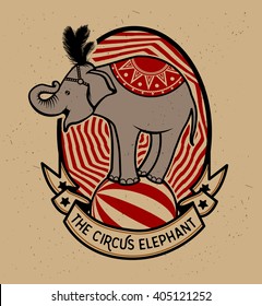 The Circus Elephant. Vector illustration. Illustration of circus star.