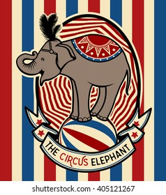 The Circus Elephant. Vector illustration. Illustration of circus star.