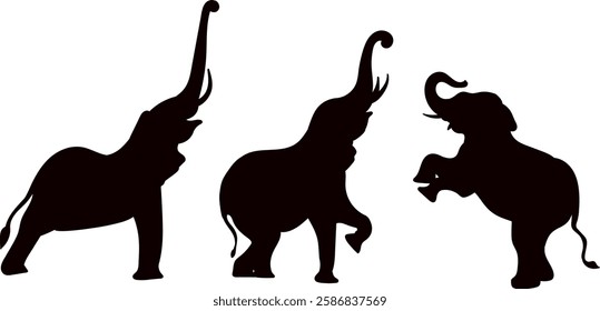 Circus elephants in different poses set black silhouette, vector