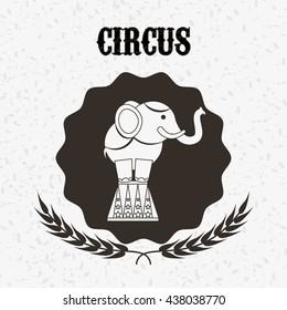 circus entertainment design 
