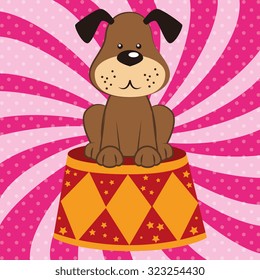 circus entertainment design, vector illustration eps10 graphic 