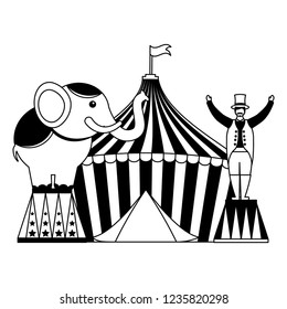 circus fun fair