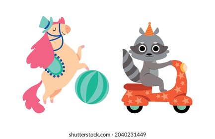 Circus Horse and Raccoon Animal Performing Trick Riding Scooter and Standing on Hind Legs Vector Set