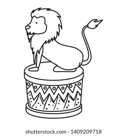 circus lion domesticated in step