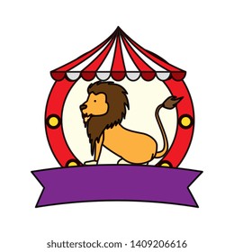 circus lion domesticated in tent