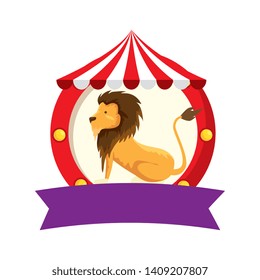 circus lion domesticated in tent