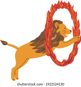 Un león de circo pasa por un aro en llamas