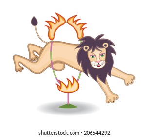 circus lion (vector illustration)