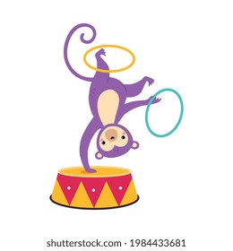 Circus Monkey Animal Somersaulting on Drum with Hula Hoops Performing Trick Vector Illustration