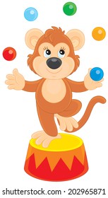 Circus monkey juggling with balls