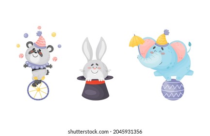 Circus Panda And Elephant Animal Juggling Balls And Balancing On Round Sphere Performing Trick Vector Set