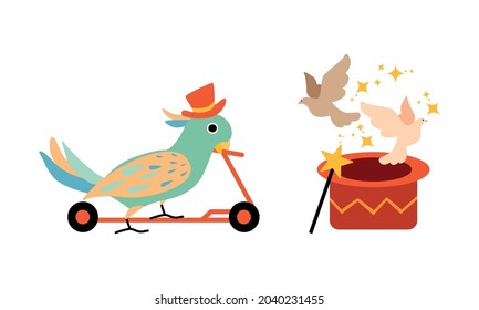 Circus Parrot and Pigeon Birds Performing Trick Riding Kick Scooter and Flying Out of Top Hat Vector Set