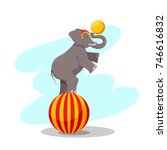 circus performance, an elephant on a large ball with a ball on the trunk, a dug animal