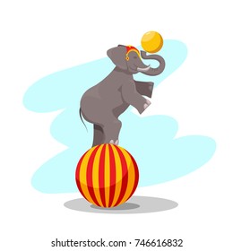 circus performance, an elephant on a large ball with a ball on the trunk, a dug animal