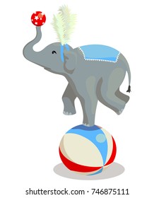 Circus performance with elephant stands on a ball isolated on white background. Vector illustration.