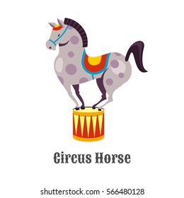 Circus performer horse. Vector illustration. Isolated on white background.