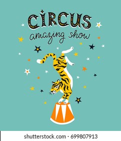Circus poster with cartoon tiger on the blue background with stars. Carnival card design.
