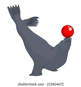 Circus seal