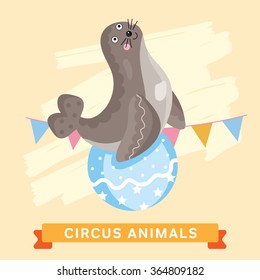 Circus Seal