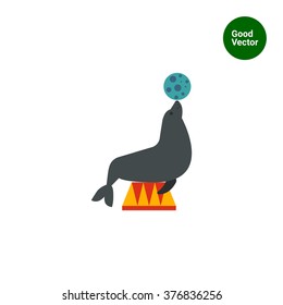 Circus seal