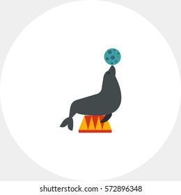 Circus seal