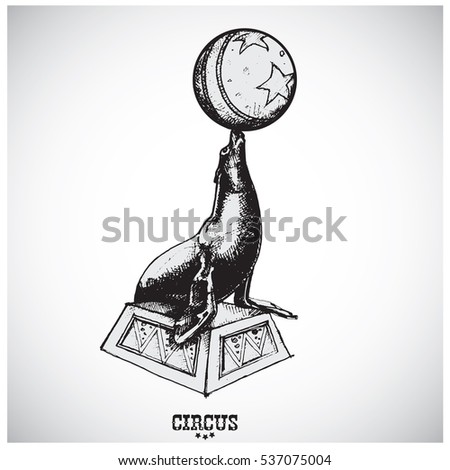 Circus seal. Art vector illustration