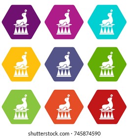 Circus seal with a ball icon set many color hexahedron isolated on white vector illustration