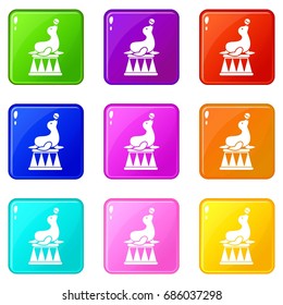 Circus seal with a ball icons of 9 color set isolated vector illustration