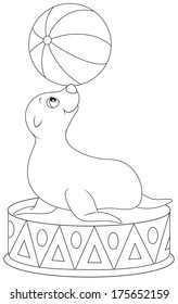 Circus seal equilibrist