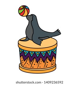 circus seal marine playing with balloon in stage