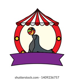 circus seal marine playing with balloon in tent