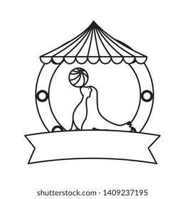 circus seal marine playing with balloon in tent