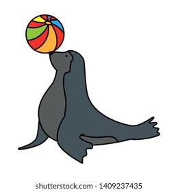 circus seal marine playing with balloon