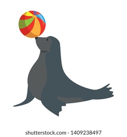 circus seal marine playing with balloon