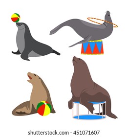 Circus seals. Vector illustration. Set. Cartoon style. Sea lion, fur seal. Marine theatre.