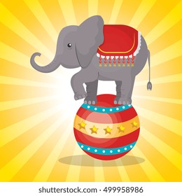 circus show design