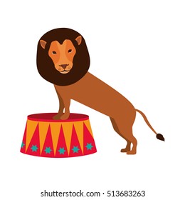 circus show design