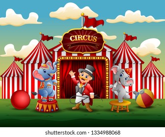 Circus show with trainer and two elephants