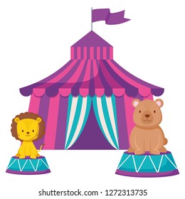 circus tent with bear teddy