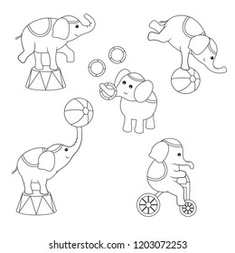 Circus theme. Coloring book. Set of circus elephants with different actions.