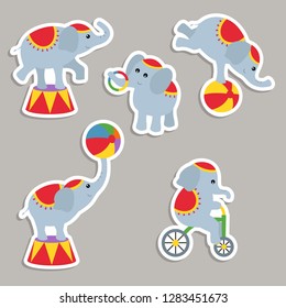 Circus theme. Set of circus elephants with different actions.