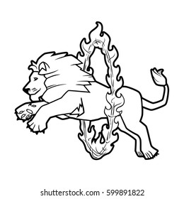 Circus trained wild animals performance isolated on white. lion jumps over the ring in the fire. Black contour for coloring