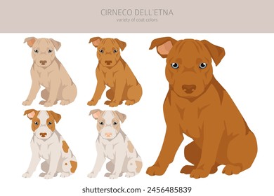 Cirneco dell Ätna, sizilianischer Hundewelpen-Clipart. Verschiedene Posen, Fellfarben gesetzt.  Vektorillustration